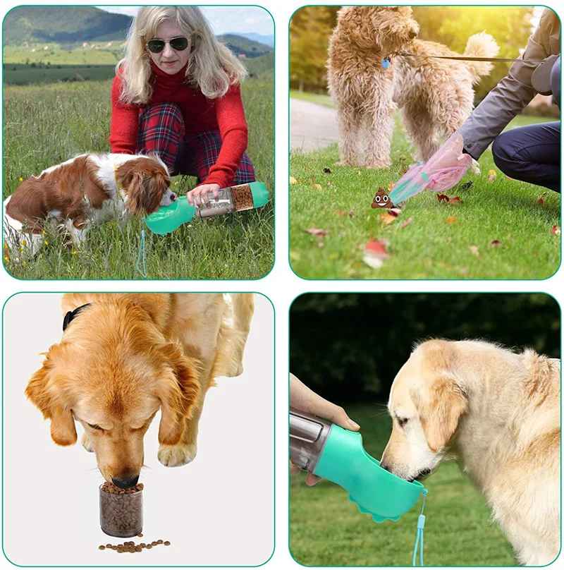 accessoire promenade chien 4 fonctions