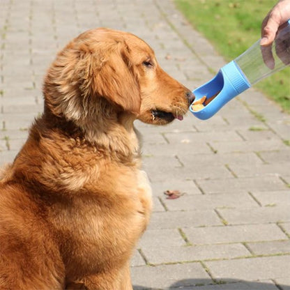 Gourde chien adaptable à la gueule du chien