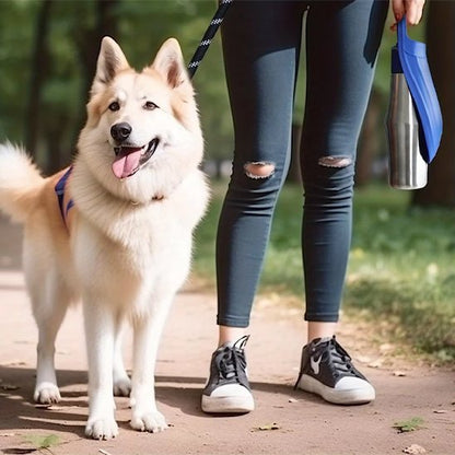 gourde chien avec poignée de transport pratique 