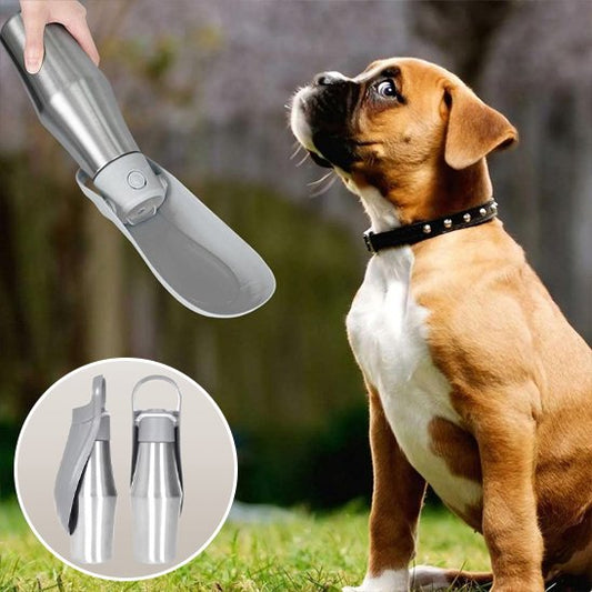 gourde chien en acier inoxydable 