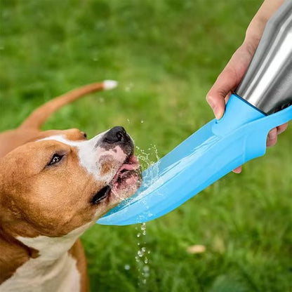 gourde chien qui Convient pour toutes tailles de chiens 