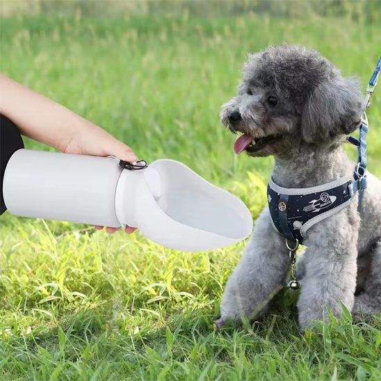 gourde chiens 550 ml
