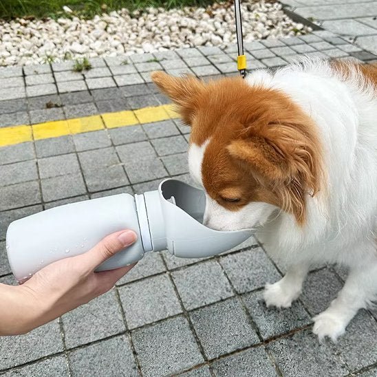 gourde chiens avec mécanisme de verrouillage automatique