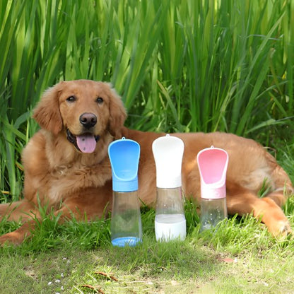 gourde chiens de haute qualité solide