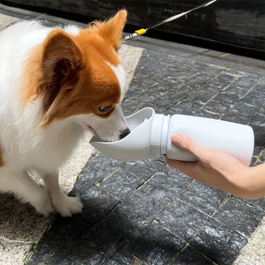 gourde chiens légère et portable