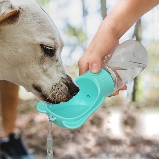 Gourde gamelle chien​ avec distributeur d'eau