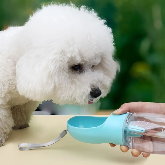 Gourde gamelle chien avec système d'ouverture rapide