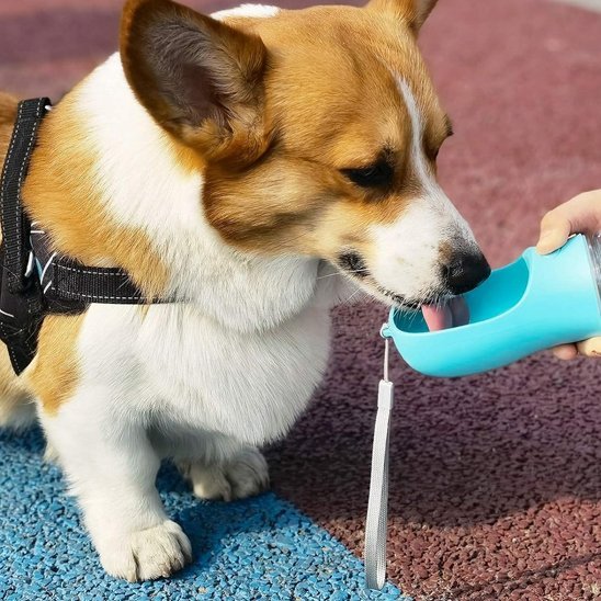 Gourde gamelle chien en matériau de qualité