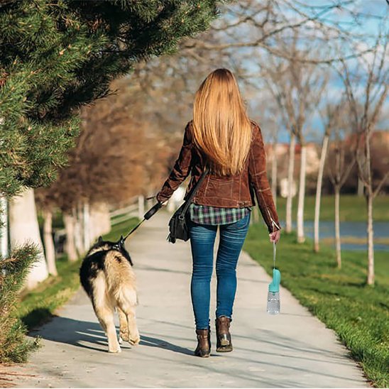 Gourde gamelle chien​ Format nomade  idéales pour les promenades, randonnées avec votre animal
