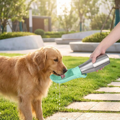 Gourde Isotherme Chien | AquaCompagnon