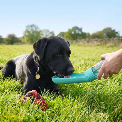 Bouteille d'eau portable pour chien – Hydratation pratique lors de toutes vos sorties - Excursion Chien