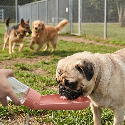 Gourde Pliable Pour Chien | Compact 550ml