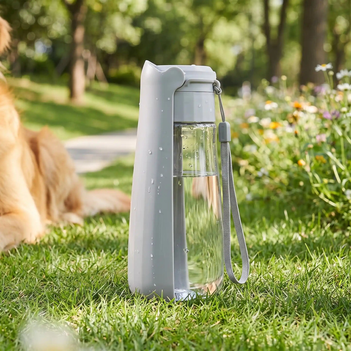 Gourde Pliable Pour Chien | Compact 550ml