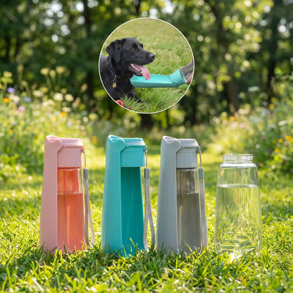Gourde Pliable Pour Chien | Compact 550ml