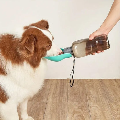 Gourde pour chien adaptable à la gueule de toutes les races