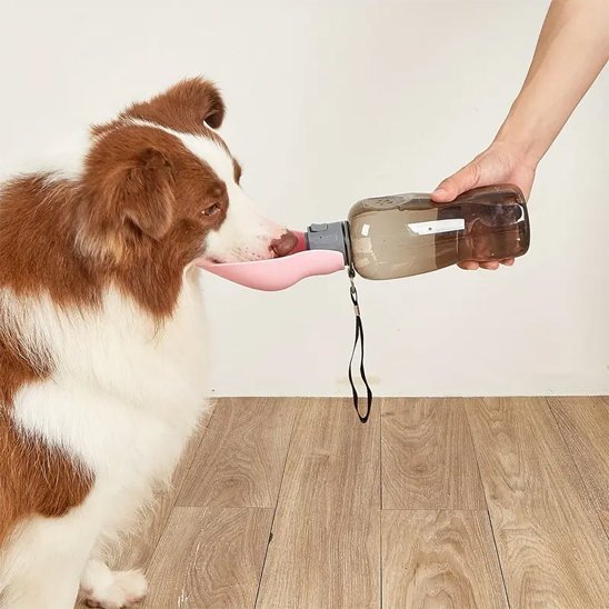 Gourde pour chien anti-fuite