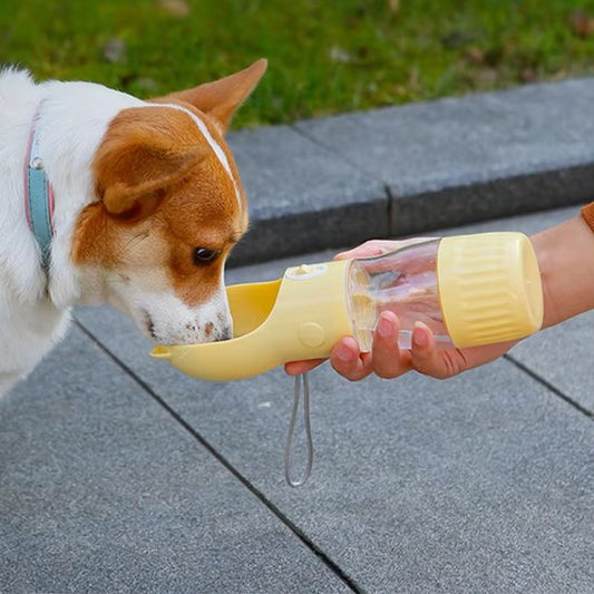 Gourde pour chien avec abreuvoir rabattable pour une hydratation facile en déplacement