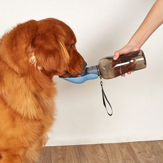 Gourde pour chien avec bol combiné