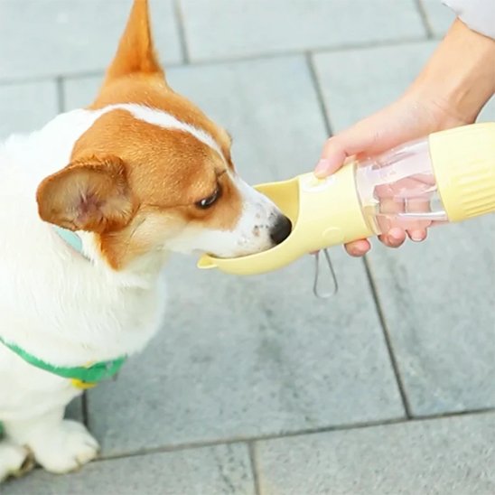 Gourde pour chien avec bouton de distribution contrôlée pour libérer l'eau uniquement à la demande
