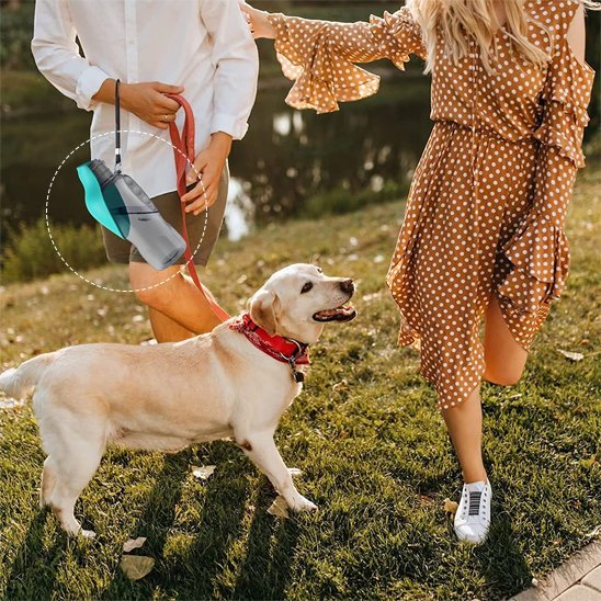 Gourde pour chien pour randonnée et promenade