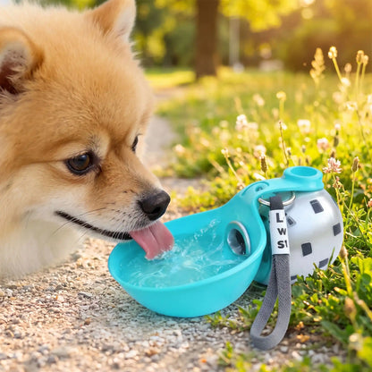 Chien buvant dans une gourde portable lors d'une promenade