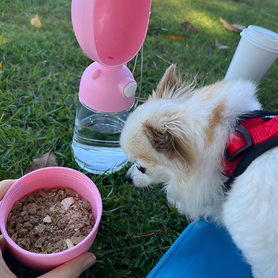 gourde voyage chien Ideale pour les voyage en voiture 