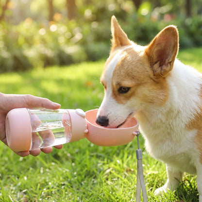 Gourde Voyage Chien | Anti-fuite
