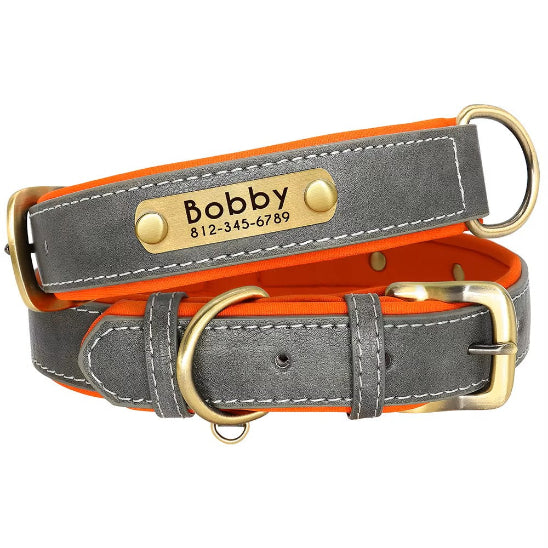 Collier Chien personnalisé prenom gris