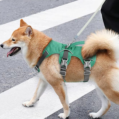 harnais anti traction chien confortable