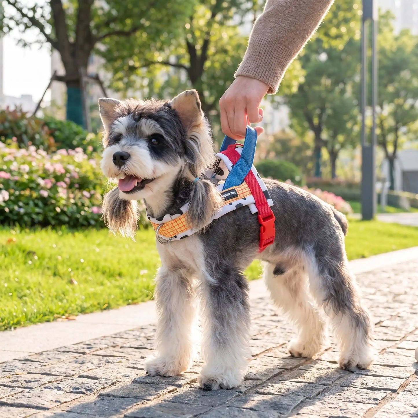 harnais anti traction petit chien ergonomique