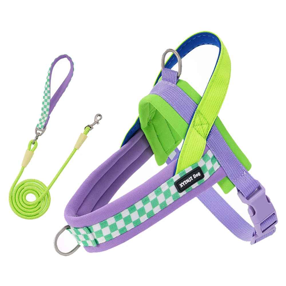 harnais anti traction petit chien violet