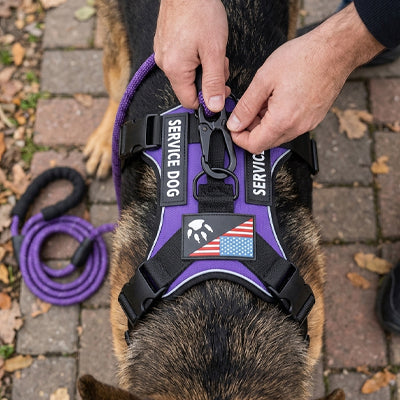 harnais anti traction pour chien avec sangles réglables