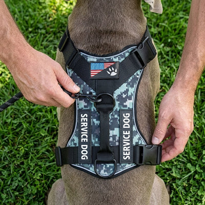 harnais anti traction pour chien robuste