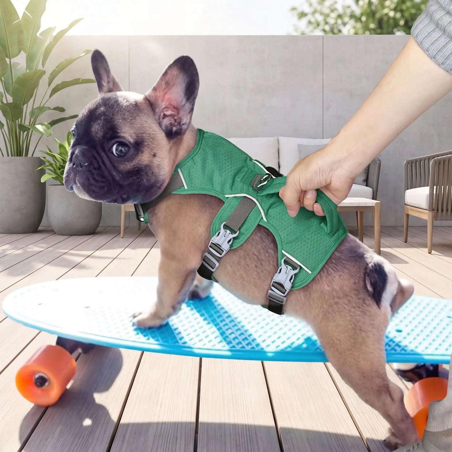 Harnais avec Poignée Pour Chien | Confort anti-étranglement - Excursion Chien