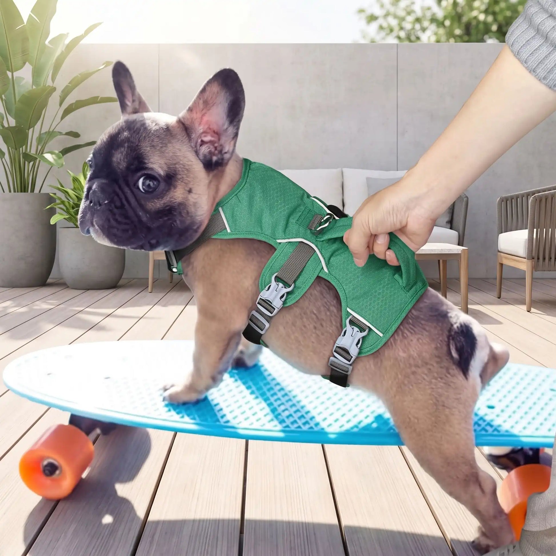 Harnais avec Poignée Pour Chien | Confort anti-étranglement - Excursion Chien