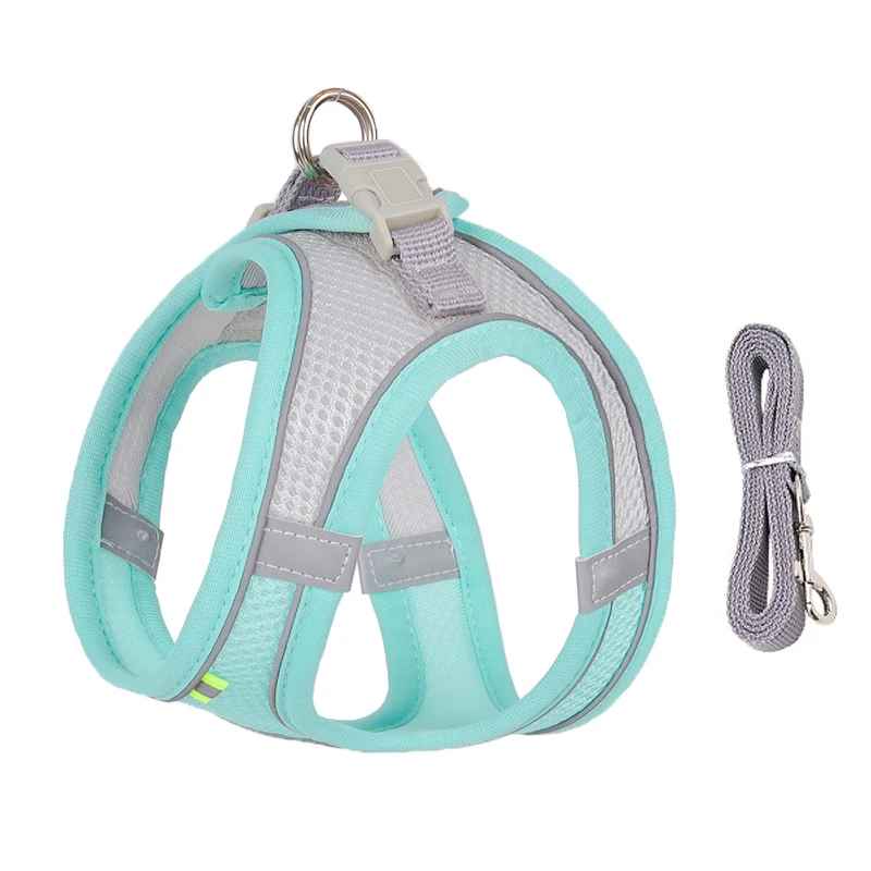 Harnais Pour Caniche | Mesh Respirant - Excursion Chien