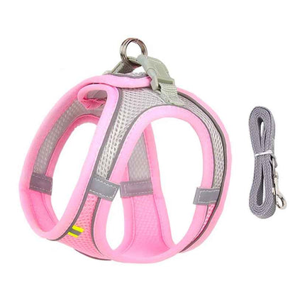Harnais Pour Caniche | Mesh Respirant - Excursion Chien
