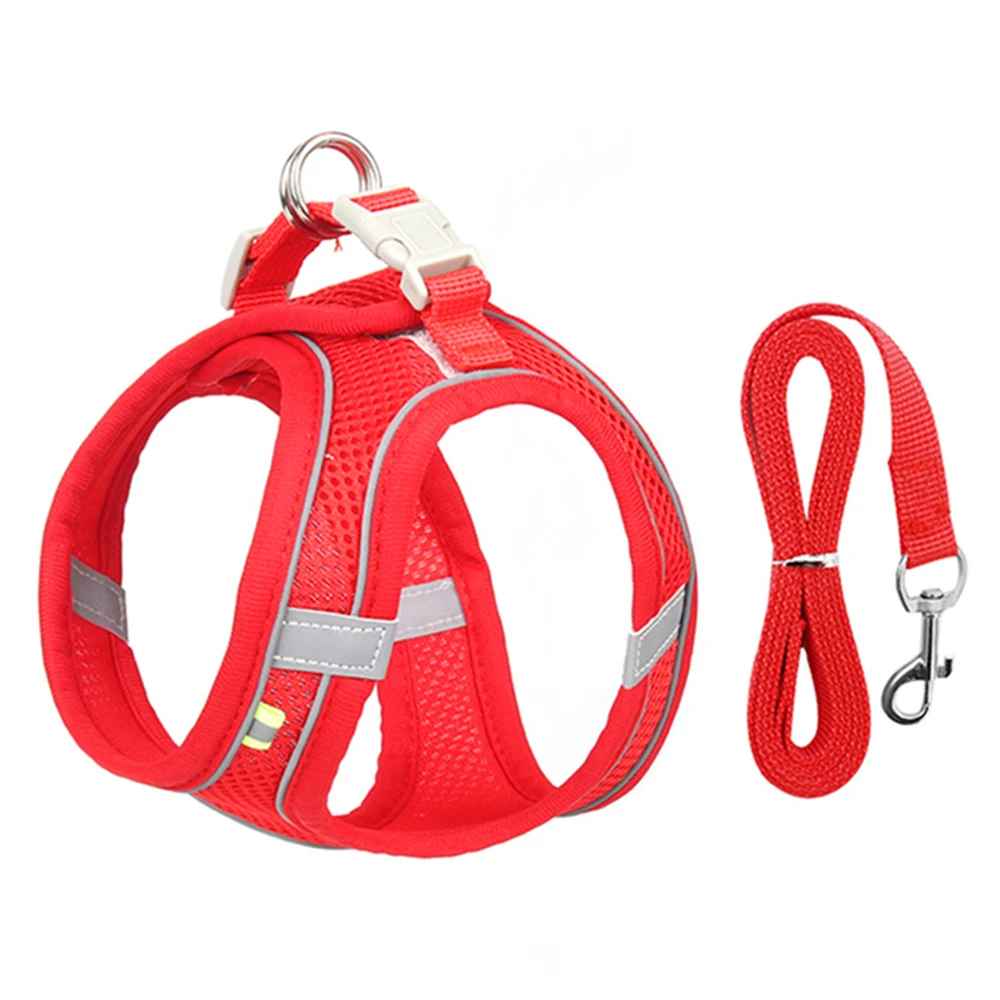 harnais caniche rouge