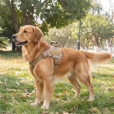 Harnais Chien Tactique Anti - Traction - Excursion Chien
