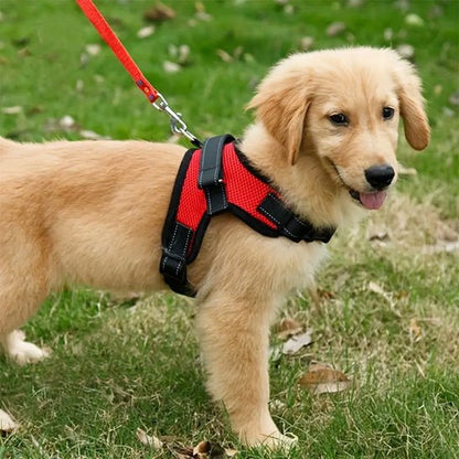 Harnais Chien | Anti - Traction Rouge - Excursion Chien