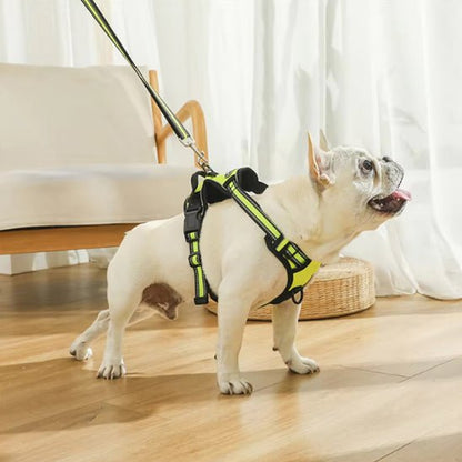 Harnais Chien Anti - Traction | Confort Optimal - Excursion Chien