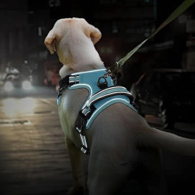  harnais chien anti-traction réfléchissant