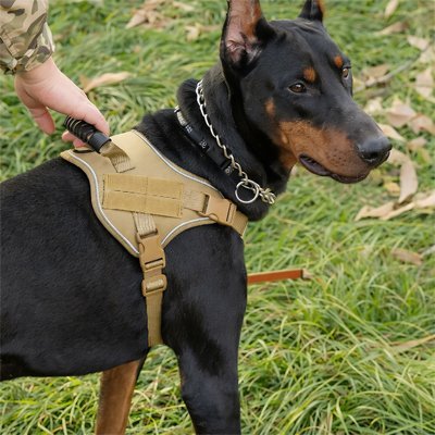 Harnais Chien Tactique Anti - Traction - Excursion Chien