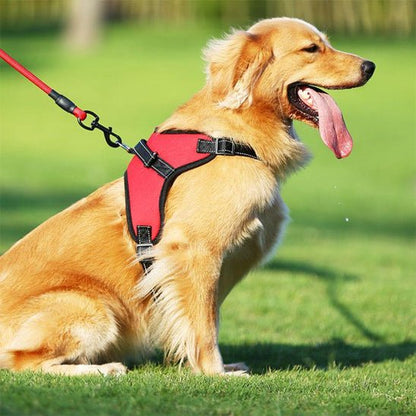 Harnais Chien | Anti - Traction Rouge - Excursion Chien