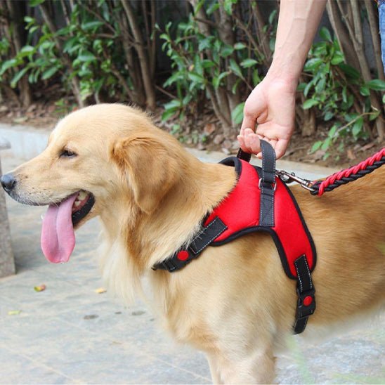 Harnais Chien | Anti - Traction Rouge - Excursion Chien
