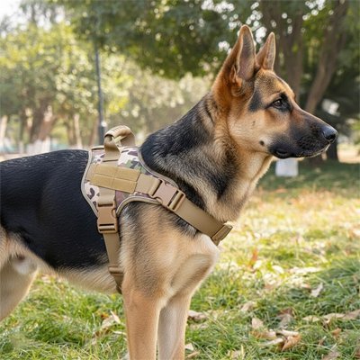 Harnais Chien Tactique Anti - Traction - Excursion Chien