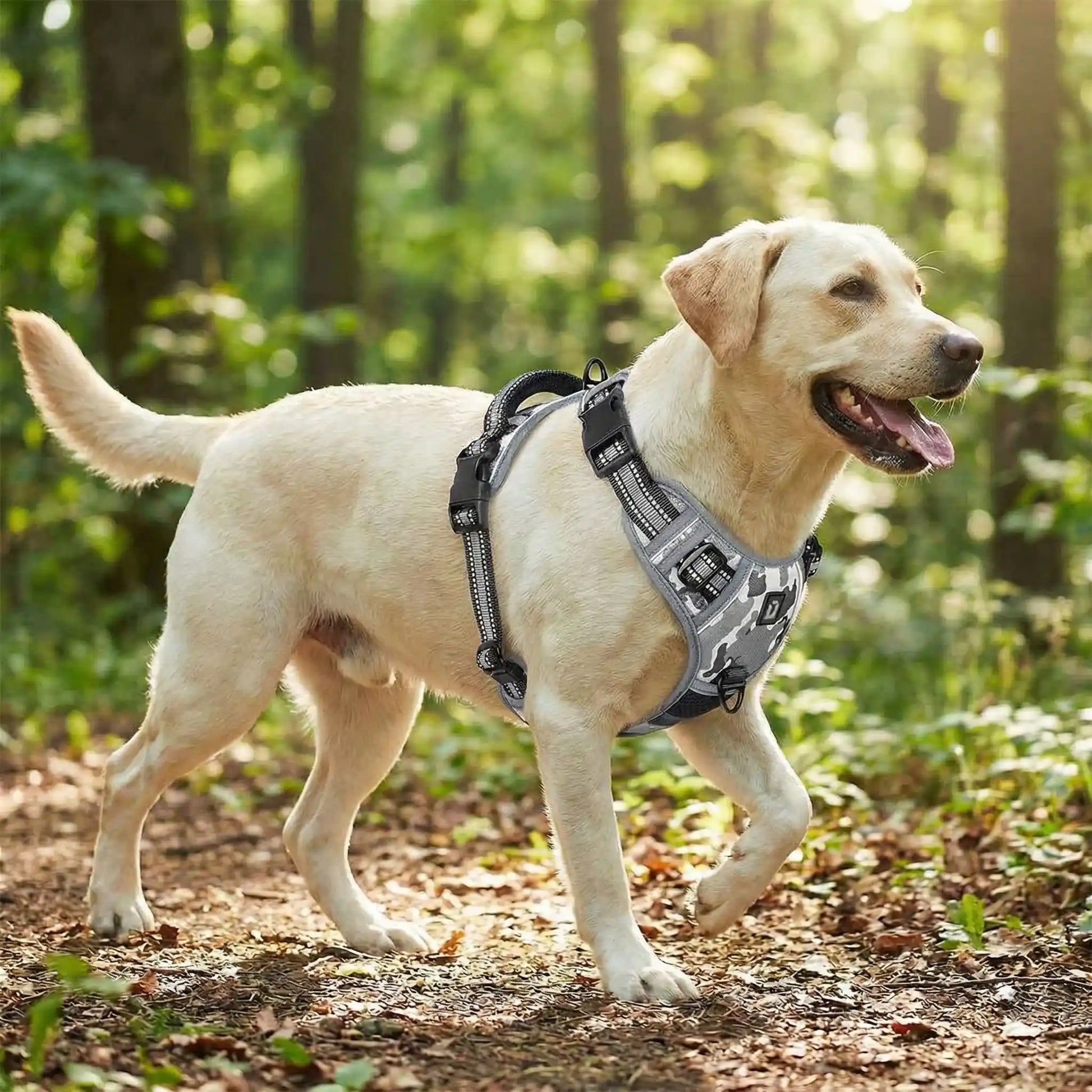 Harnais Chien Fluorescent | Nocturne - Excursion Chien