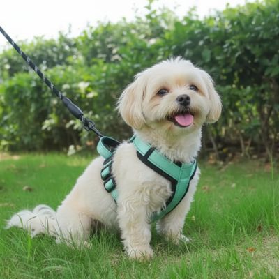 Harnais Chien petite taille | Anti - Traction - Excursion Chien