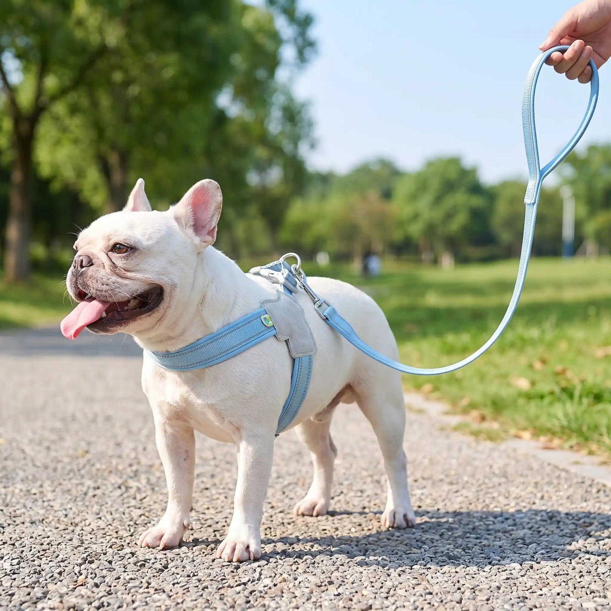 harnais chien reflechissant resistant