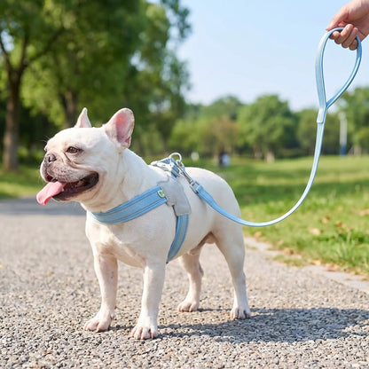 harnais chien reflechissant resistant